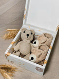 Caja Regalo Oso Mediano