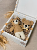 Caja de Regalo Oso Pequeño