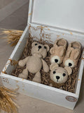 Caja Regalo Oso Mediano 2